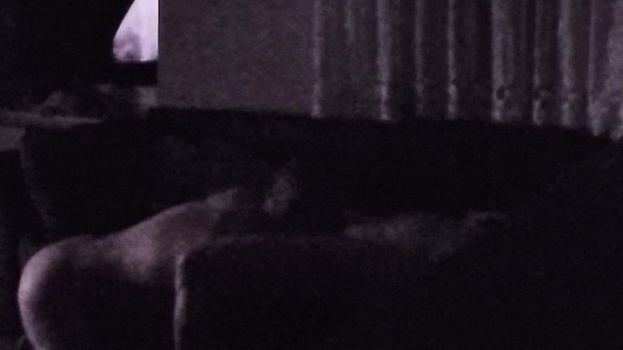 İlk kez karısını paylaşıyor, komşu kedi yerken fotoğraf çekiyor