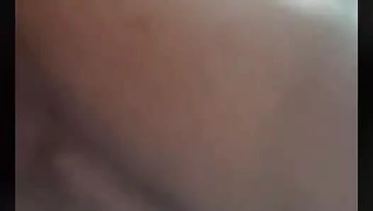 Sıcak yenge gösterme kedi