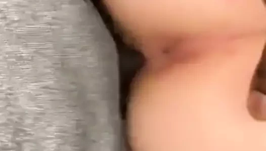 Bbc derin içinde beyaz kedi