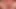 Busty tombul çılgınca oynuyor