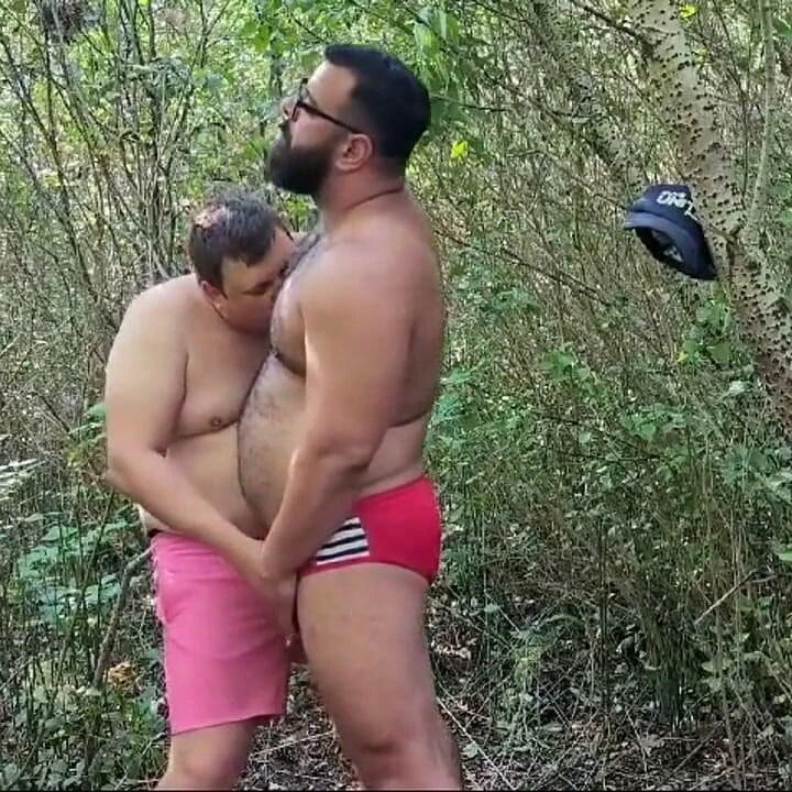 Cruising Bears