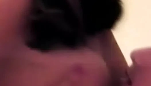 Timmy'nin vahşi la macerası