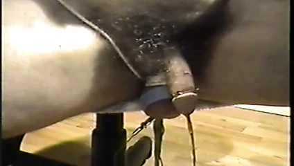 et-312 ile iki seans