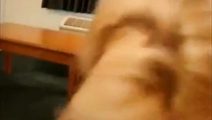 Jenny direğe nasıl çalışacağını biliyor