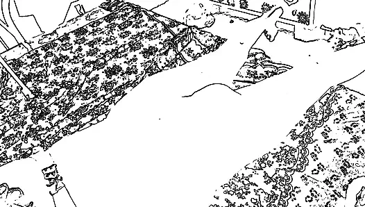 Büyük amcık teyze