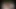 Büyük dev horoz için bir ıslak kedi