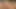 Seksi oda arkadaşı romy indy çalışır için ayartmak seni itibaren senin gf