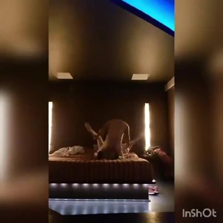 casada infiel mexicana cogiendo