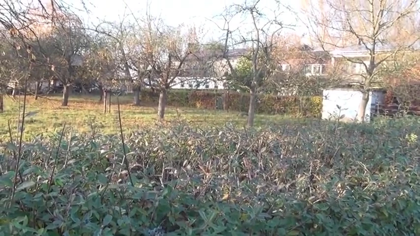 Amateur ngoài trời người Đức grannies