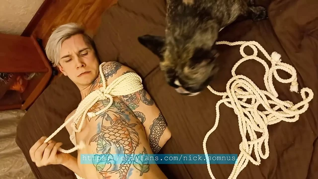 Маленький щенок пытается спасти его симпатичную хозяйку из трудной ситуации со скакалкой.