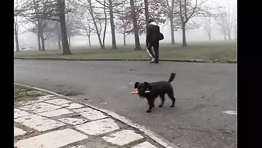 Edepsiz kız arkadaş