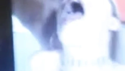 Çekim büyük cumshot sperm yük mastürbasyon kapalı