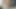 kedi içinde dildo, kıçından dick - önizleme