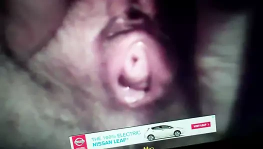 Lisa rene onu kedi açar