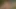 İki muhteşem kız havuz başında dildo paylaşıyor