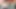 Hotwifekk arkadaşlarıyla oral seks yarışı