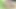 Seksi büyük memeli sarışın kızlar mastürbasyon yapıyor, amcık sikişi, üçlü seks