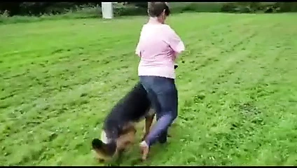 Flidd yürüyen köpek