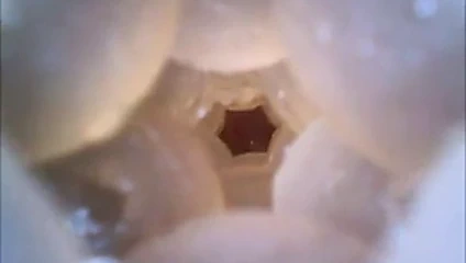 iç Fleshlight orgazm