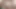 Bugün absürt video porno günü