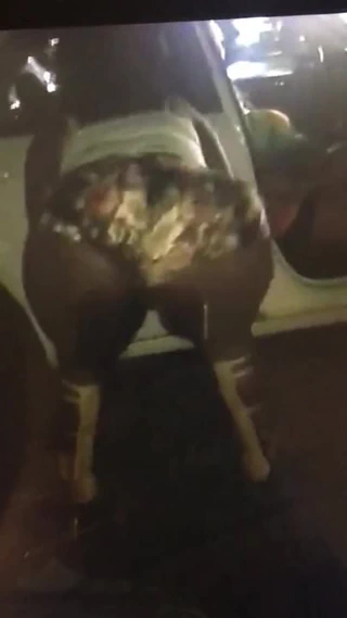 Bbw sallama o kıçını at the store dün gece