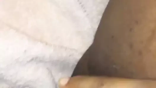 KEDİ oyun 2