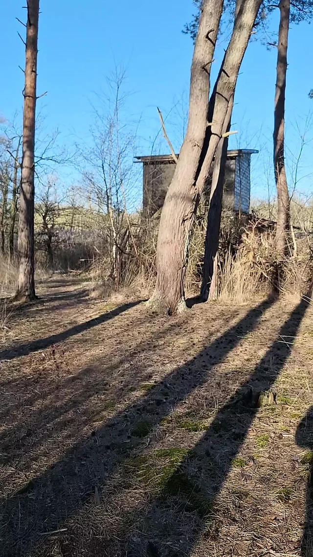 Снова развлекаюсь на улице