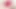 The Bad Peach 4 Tongue Licking Vibrator - She Cums Hard with Real Licking Orgasm - Close Up No Face