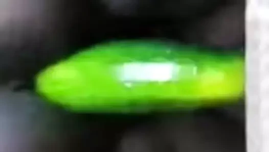 Abanoz eş sikme dev salatalık köpek