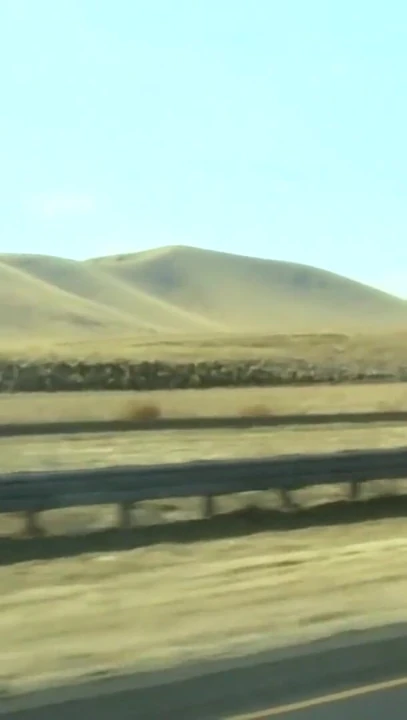 Episode 7: Road Trip!