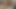 güzel gal oluyor traş kedi tadı için ilk kez