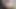 Tüylü MILF Oral Oyunları