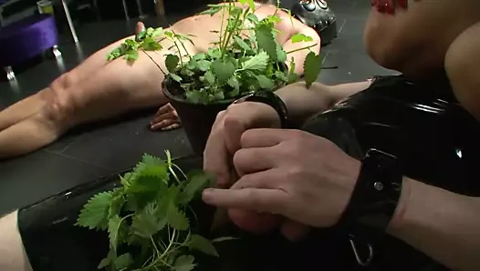 Bdsm voracity 2 - bölüm 4