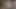 Üvey erkek kardeşim iş görüşmemden önce rahatlamama yardım ediyor ve bana oynamam için yarağını veriyor