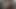 Benim dik değil kardeş emmek horoz gibi bir pro