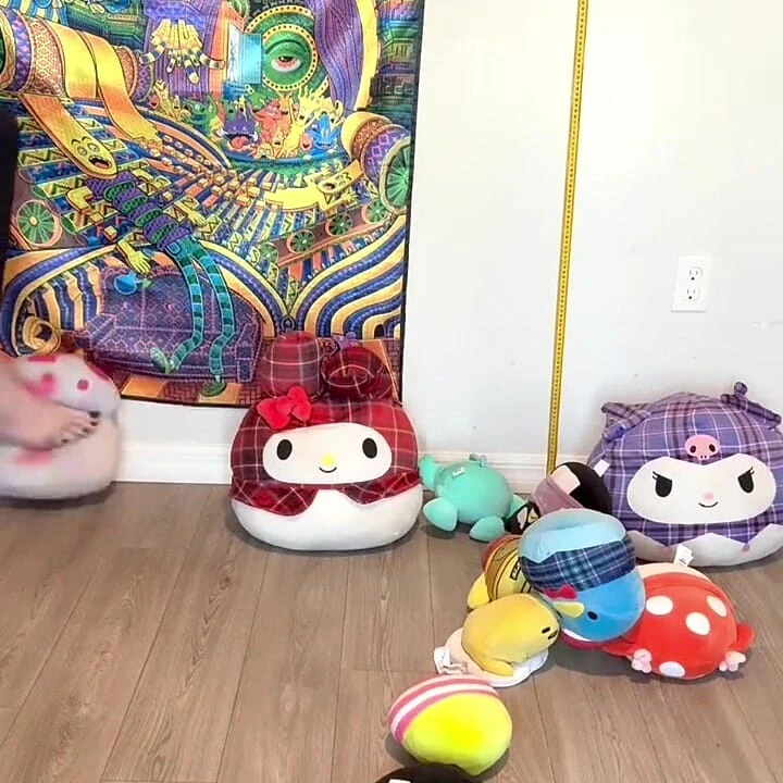 Plushie Stomp - 16 metrelik oyuncak koleksiyonu