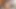 Utanç4k. Damızlık olgun kızı bağlıyor ve cinsel yardım sağlıyor