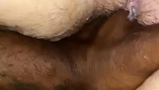 Kız arkadaş renee kedi oyun 3