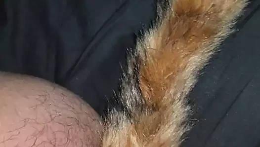 Yapay penis ve popo fişi