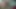 xsantylogan210216