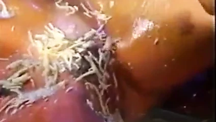 makarna ile klasik porno