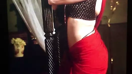 Baştan çıkarıcı dia mirza boşalmak haraç