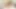 Yaramaz güzel lezbiyenler Dillion Harper ve Karlee Grey fit vücutlarını sergiliyor