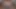 Kat Brad'ın büyük Afrikalı yarağına biniyor