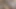 Islak Taylandlı Kızlar Ateşli Seks Yapıyor
