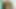 Büyük götlü travesti Julia Alves götüne makineyle seks yapıyor