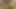 Und dann wir zwei im Wald allein