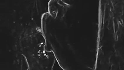 Özensiz kafa çılgın düzenleme efektleri