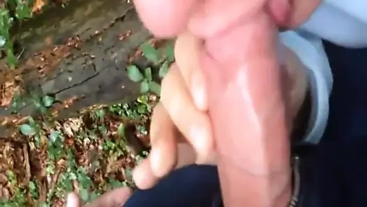 Bana o horozu göster