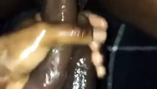 Asılı bate tomurcukları